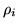 $\rho_i$